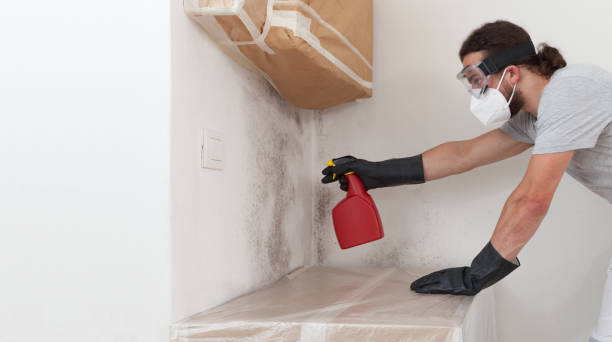 Attic Mold Remediation treatment on roof deck in Saint Bonifacius